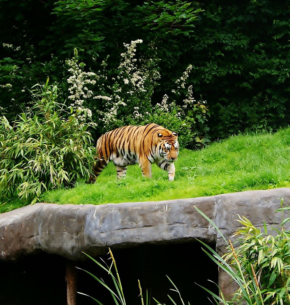 Зоопарк. Гамбург.