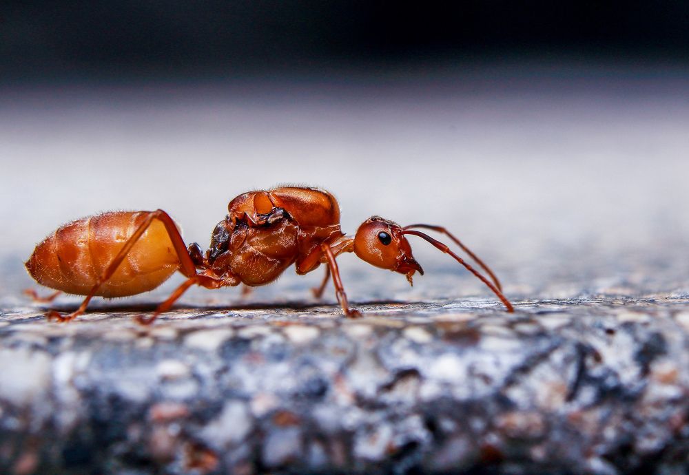 Photograph by Yusuf Buchari