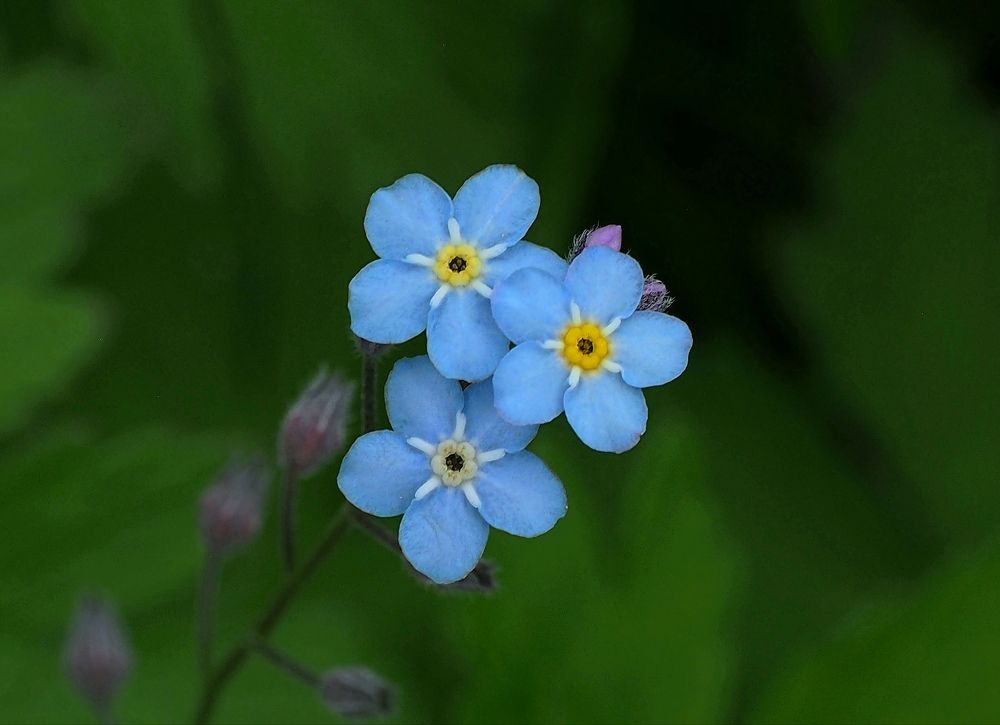 Фотография автора Евгений Яковлев