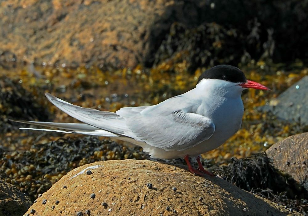 Photograph by Евгений Яковлев