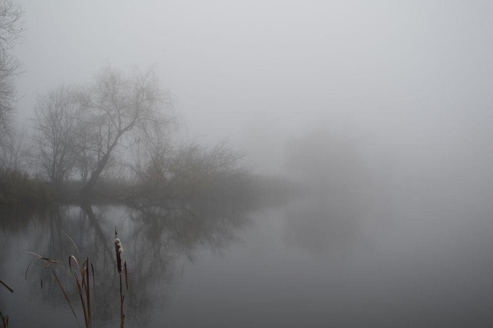 Photograph by Карина Слабкая