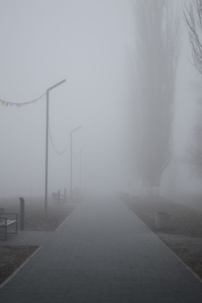 Photograph by Карина Слабкая