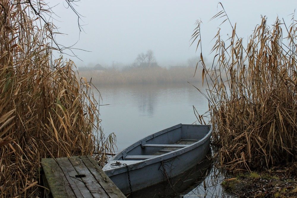 Photograph by Денис Лащ