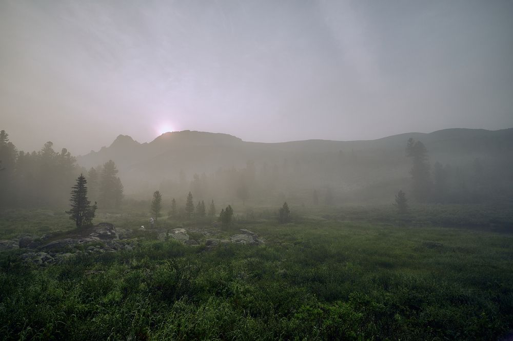 Photograph by Дмитрий Лепаков