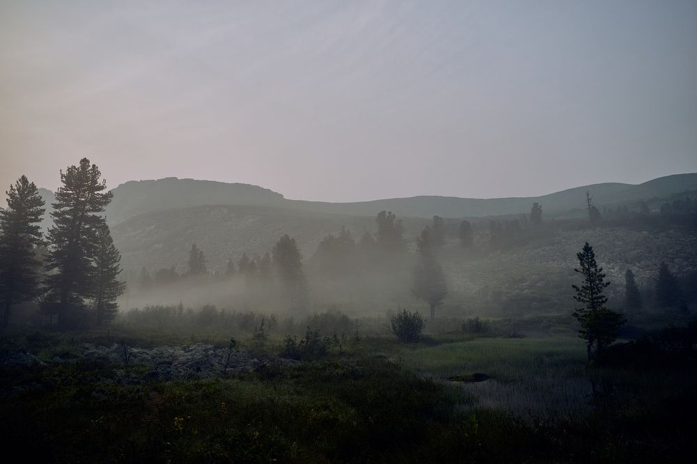 Photograph by Дмитрий Лепаков