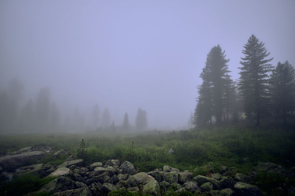 Photograph by Дмитрий Лепаков