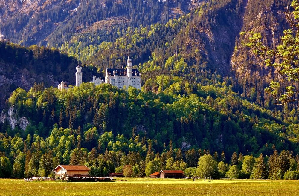 Photograph by backareva irina