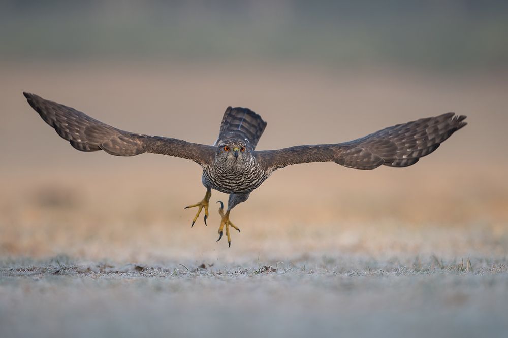 Photograph by Mariusz Świech