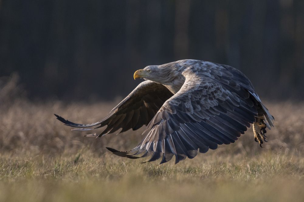 Photograph by Mariusz Świech