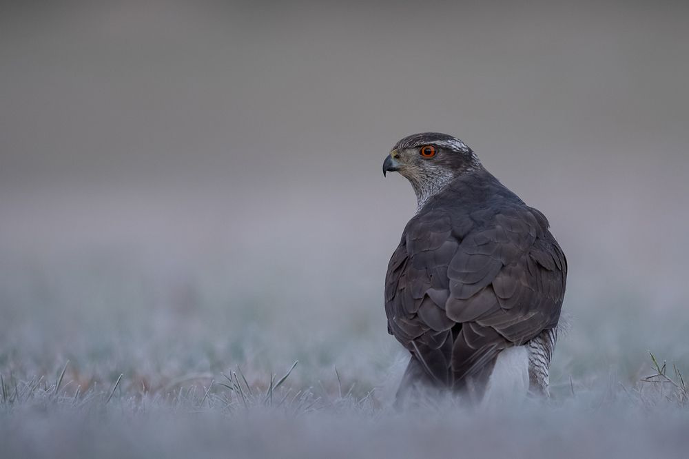 Photograph by Mariusz Świech
