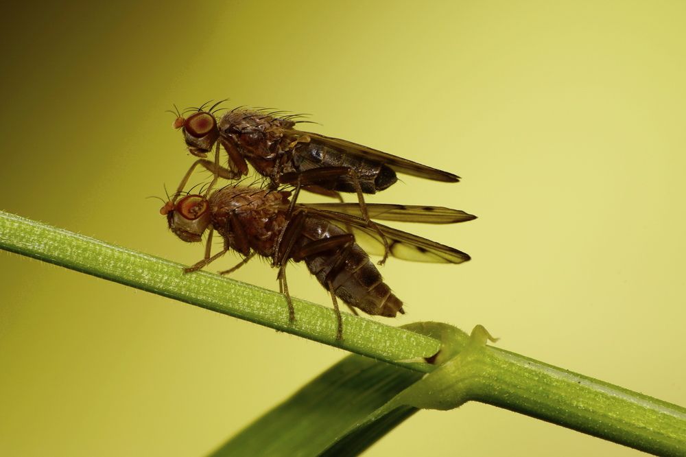 Photograph by Sergios  Kozmidis