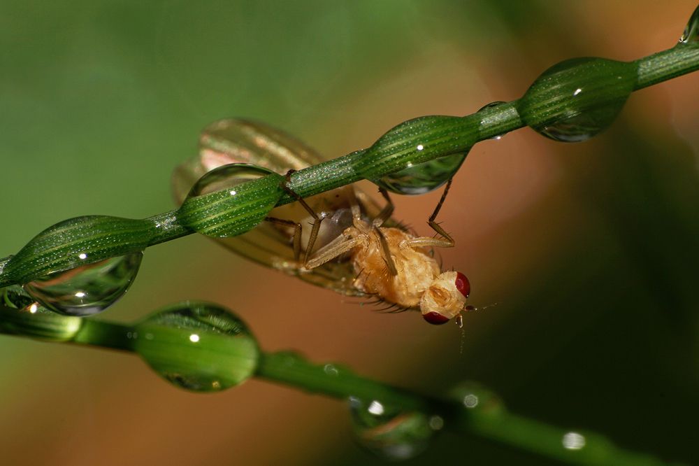 Photograph by Sergios  Kozmidis