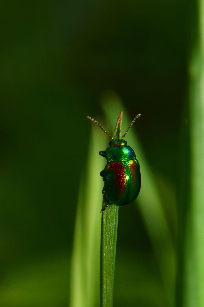 Photograph by Sergios  Kozmidis