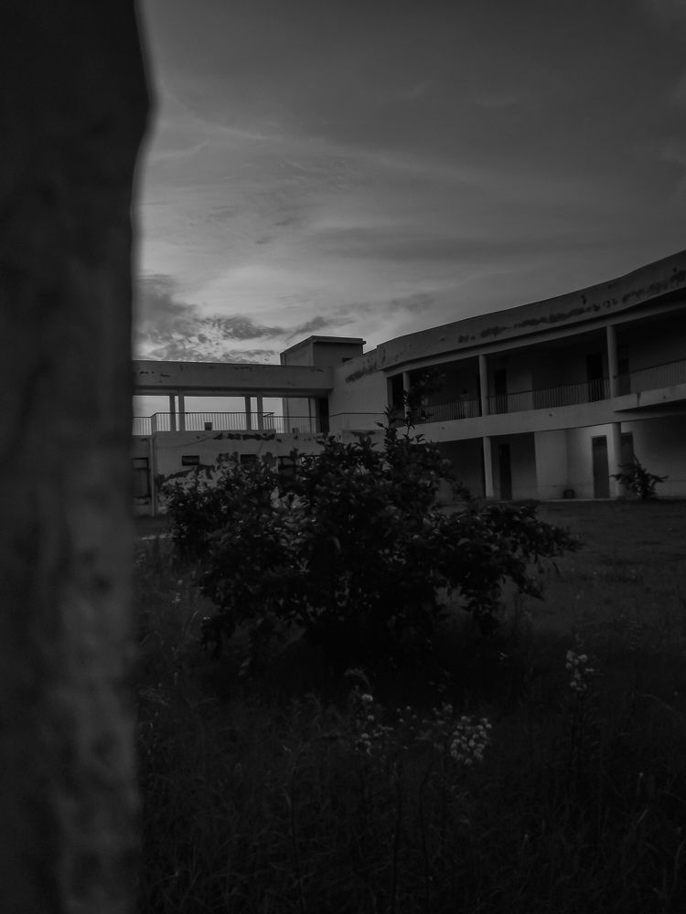 Photo #6796959