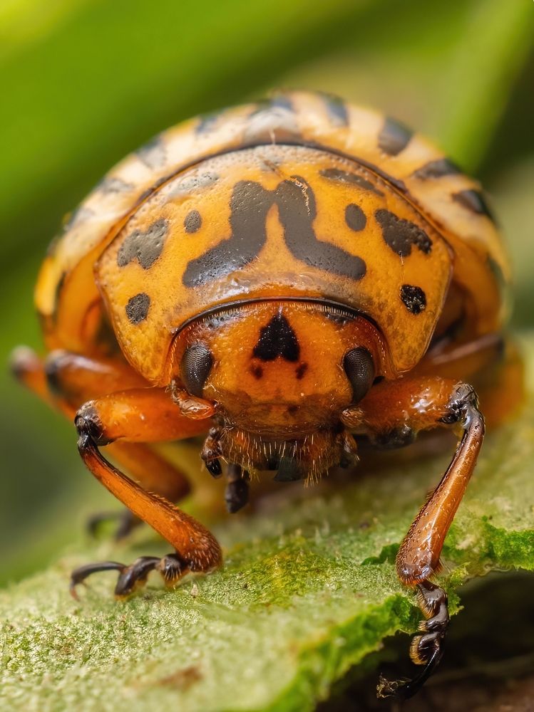 Photograph by Степан Соловьёв