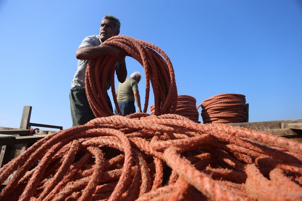 Photograph by Arsalan mohamadniya