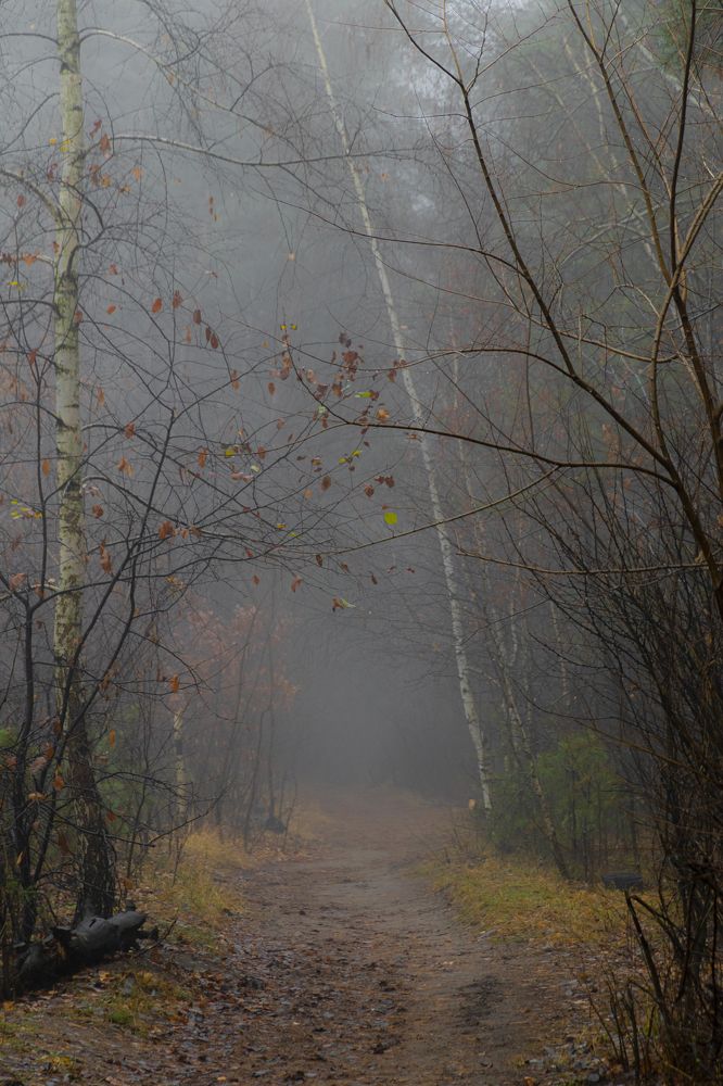 Photograph by Дмитрий Тимин