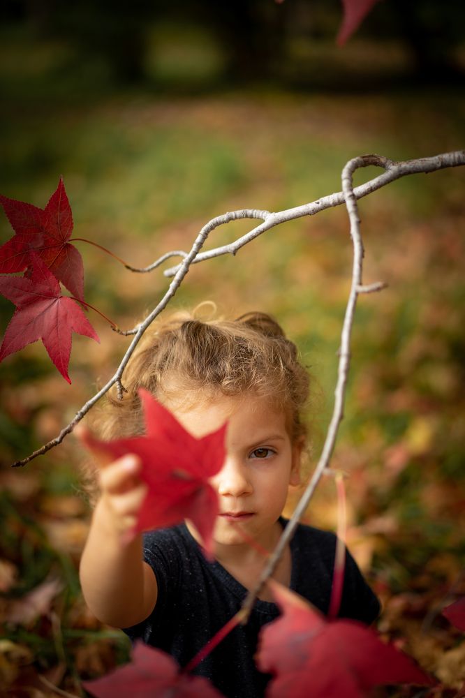 Photograph by Ольга Стеблянко