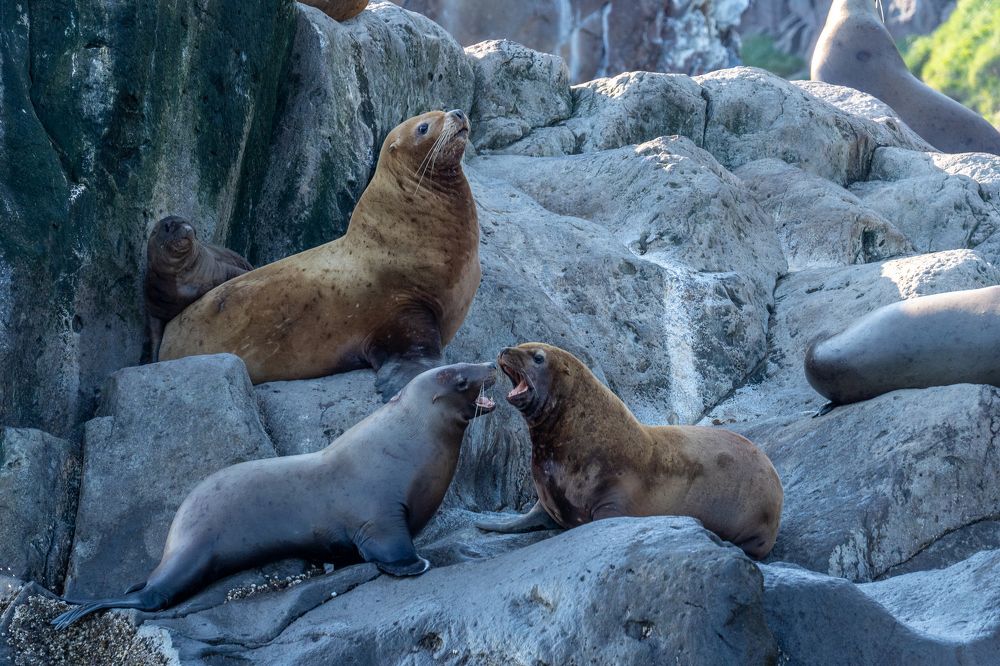 Photograph by Баландин Дмитрий