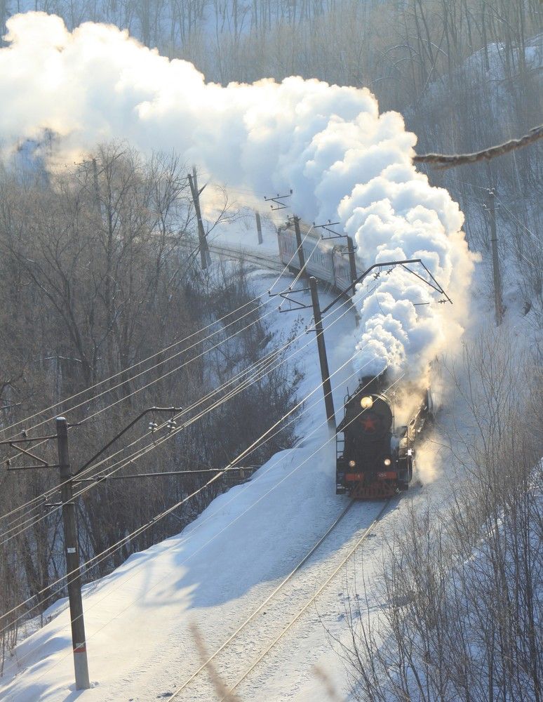 Фотография автора Татьяна Шебаршенко