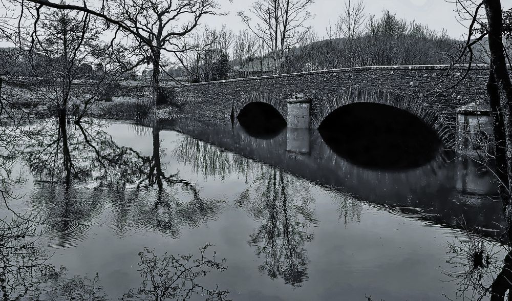 Photograph by Viviana García