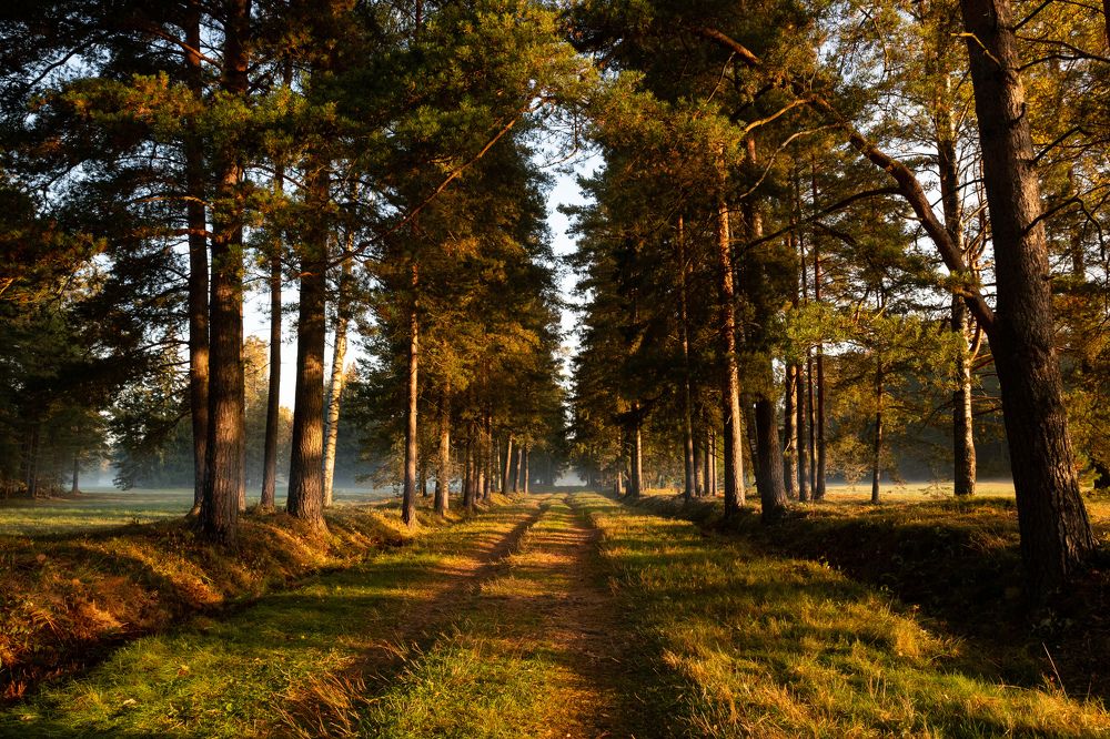 Photograph by Илья Юфа