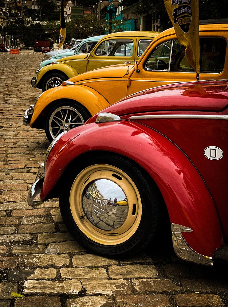 Фотография автора Regina Sant Anna