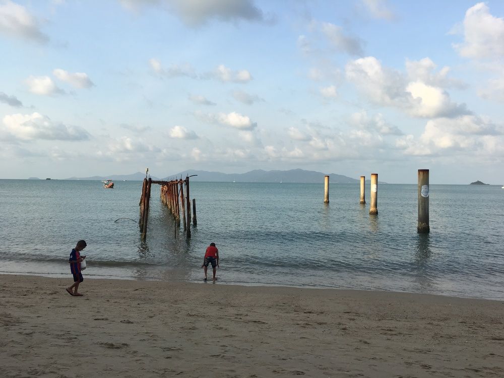 Photograph by Éva Baróti