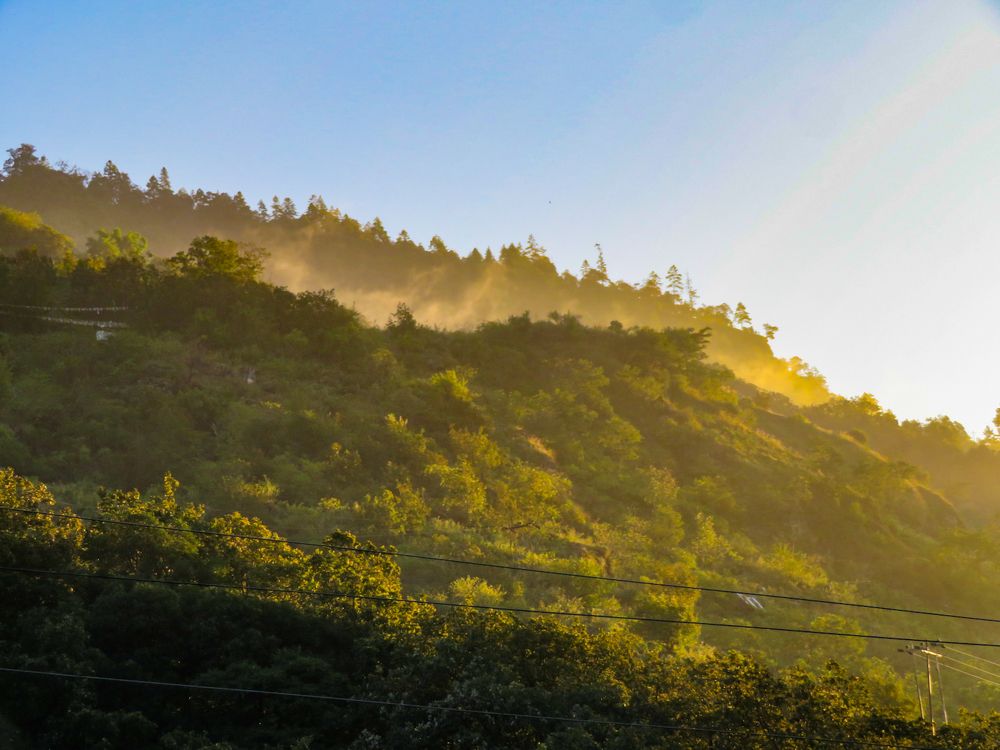 Photograph by Susmita Paul