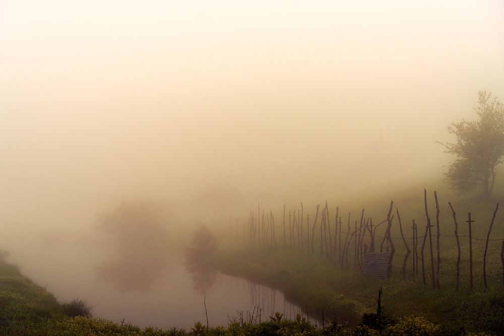 Photograph by reza lashgari