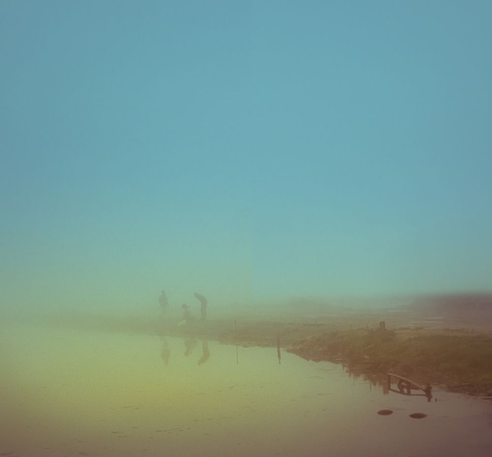 Photograph by reza lashgari