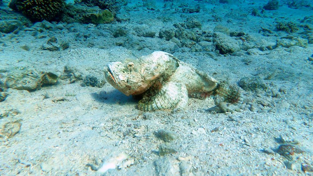 Photograph by Мария Берёзка