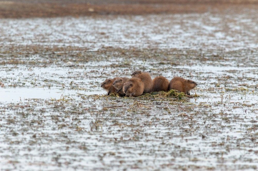 Photograph by Андрей Красников