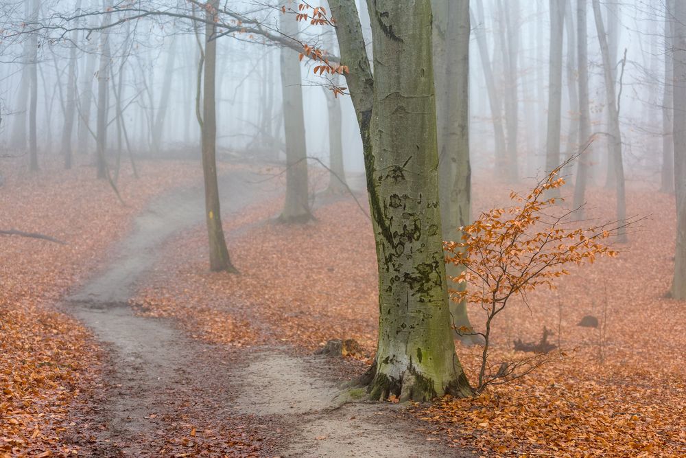 Фотография автора Юрий Юрьев