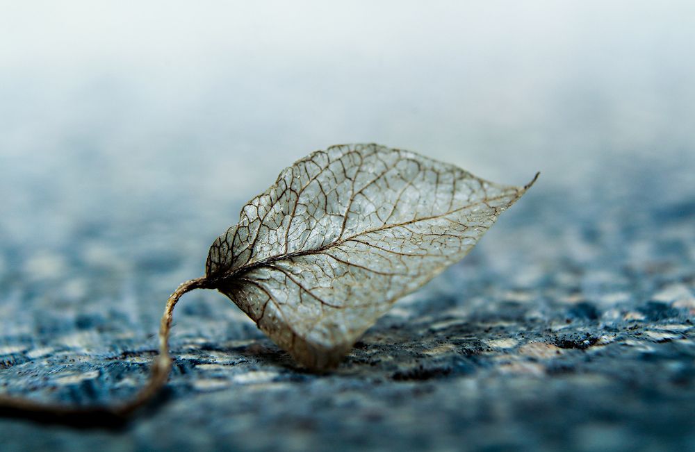 Photograph by Yusuf Buchari