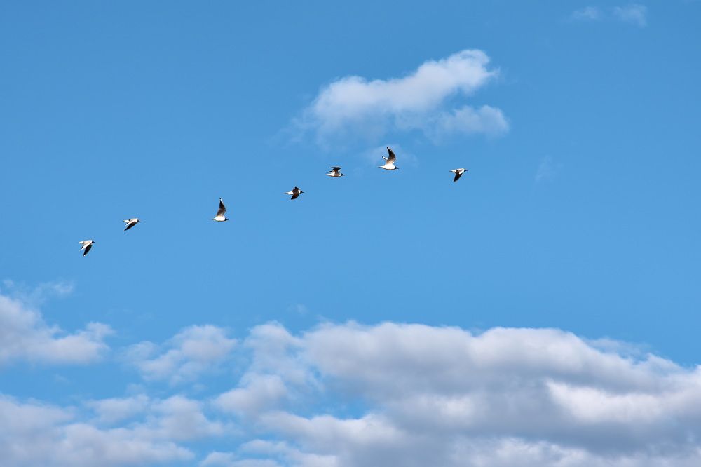 Photograph by Олег Архипов