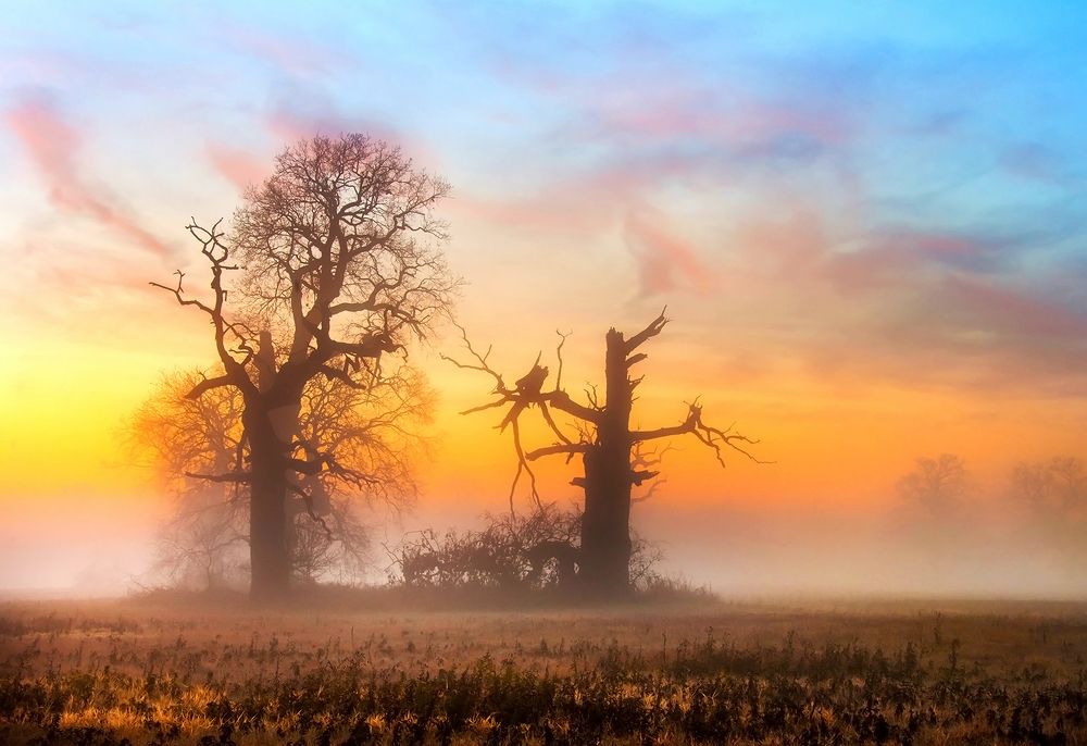 Photograph by MARIAN SKAPSKI