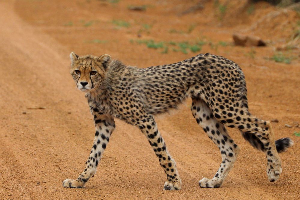 Photograph by Moses Maponya