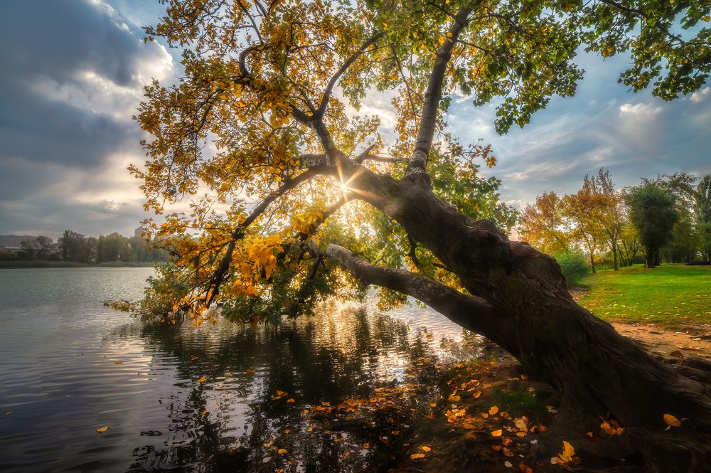 Photograph by Alexander Plekhanov