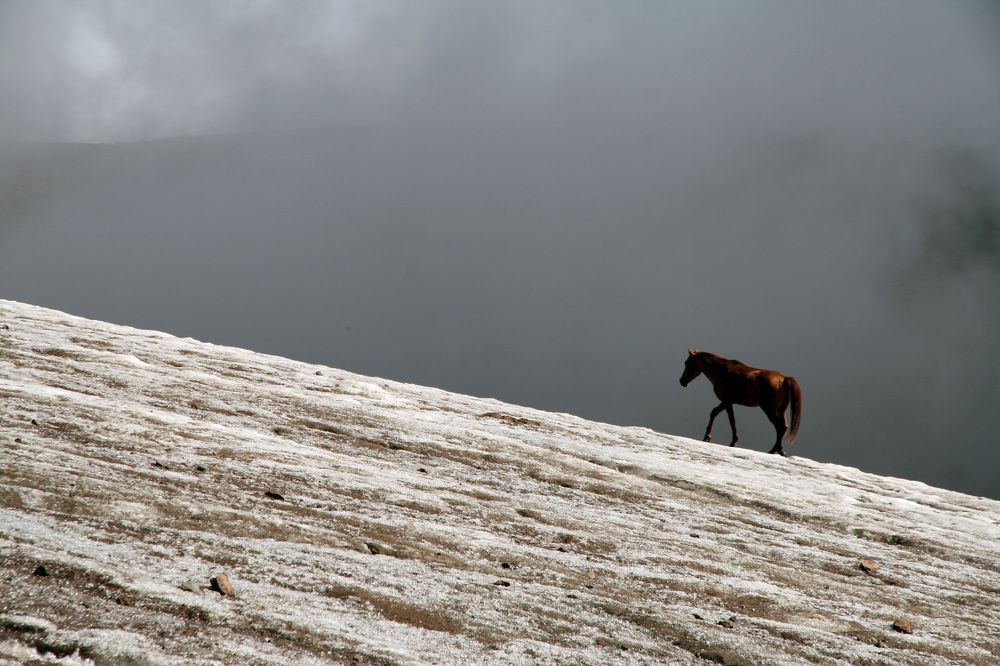 Photograph by Serg Pechenizhskiy