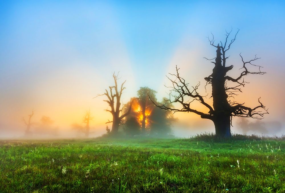 Photograph by MARIAN SKAPSKI