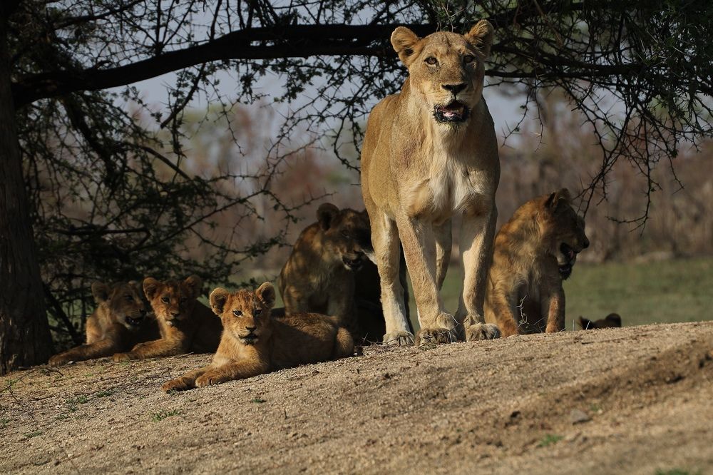 Photograph by Moses Maponya