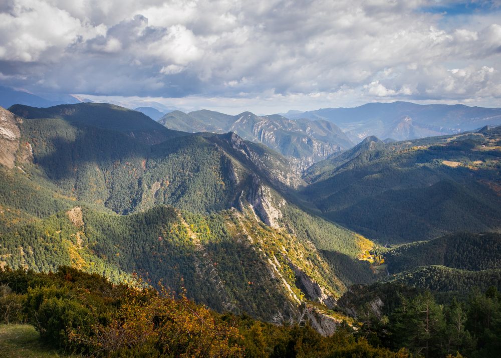 Photograph by Алекс Римский