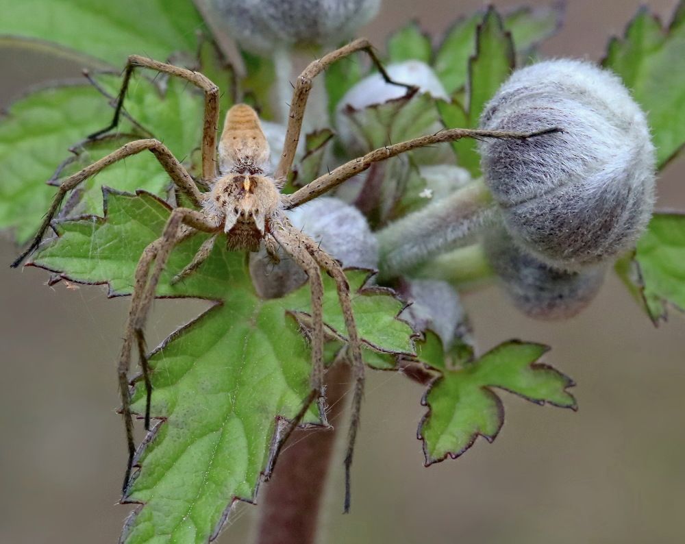 Photograph by Игорь Осипов