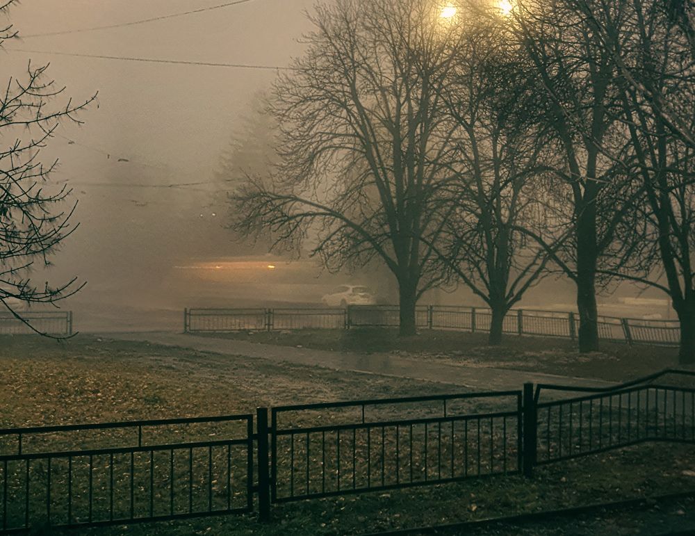 Photograph by Эльвира Куликова