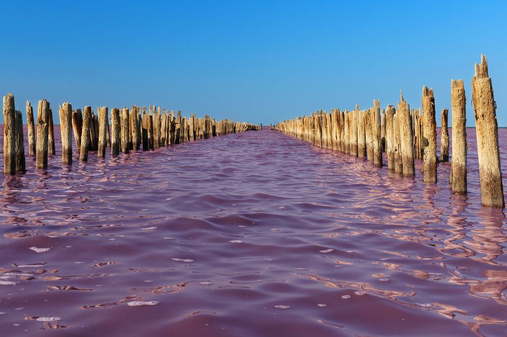 озеро Сасык-Сиваш, Крым