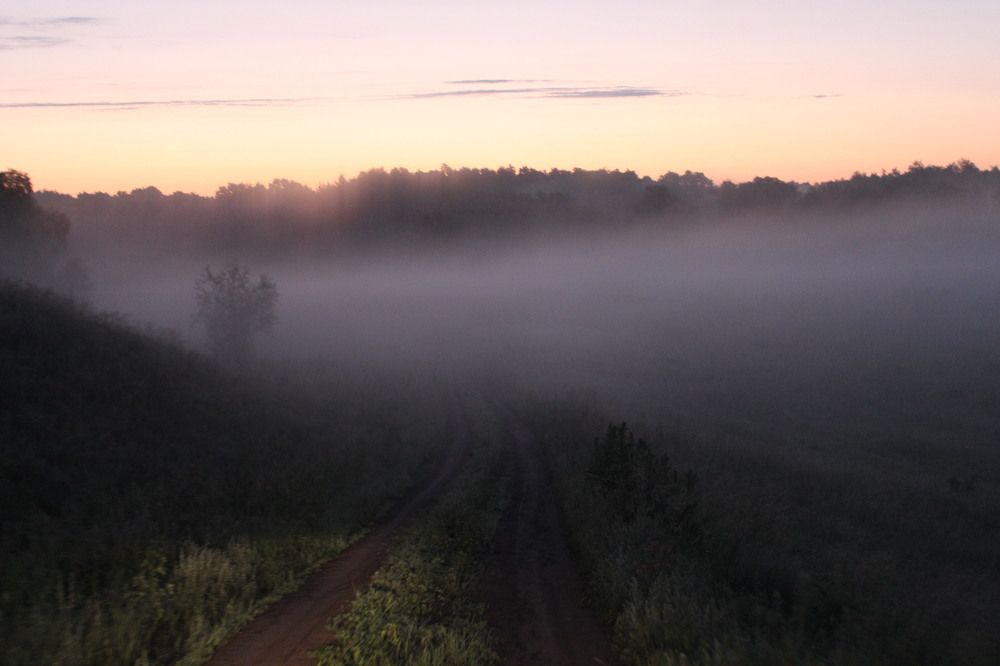 Photograph by Елена