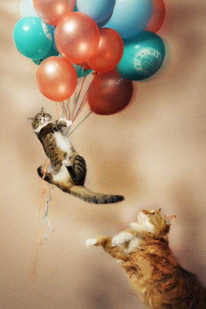 Photograph by Мария Бизунова