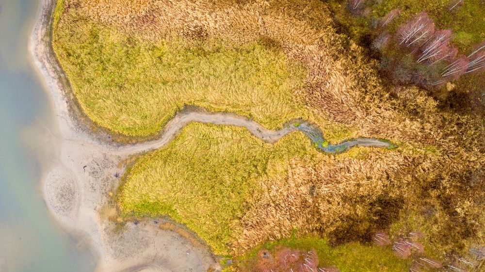 Хвостик у речки