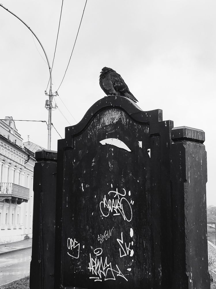 Photograph by Татьяна